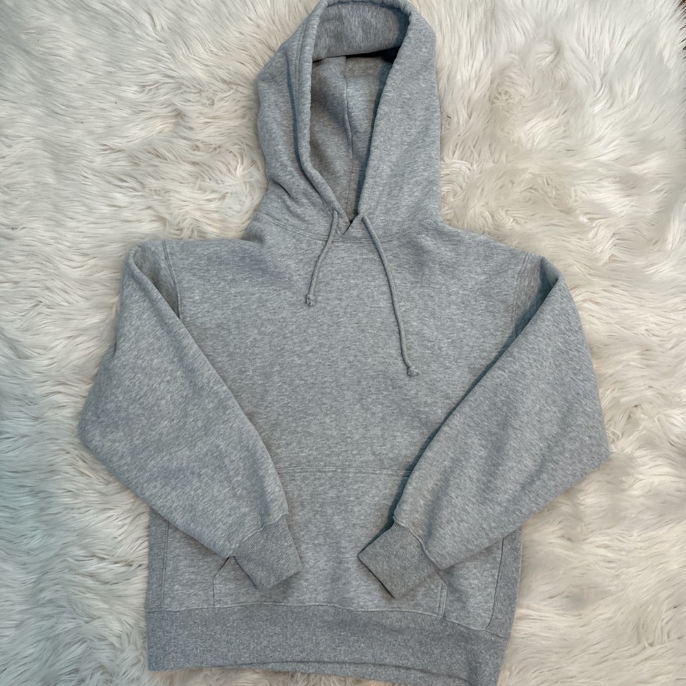aritzia tna hoodie